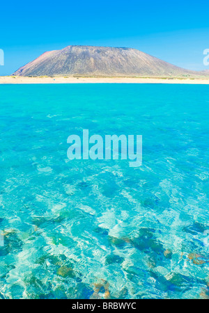 Le acque turchesi e vulcano, Isla de Los Lobos, Fuerteventura, Isole Canarie, Spagna, Atlantico Foto Stock