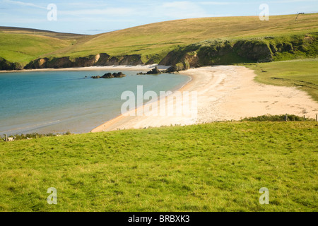 Spiaggia sabbiosa Burrafirth, Unst, isole Shetland, Scozia Foto Stock