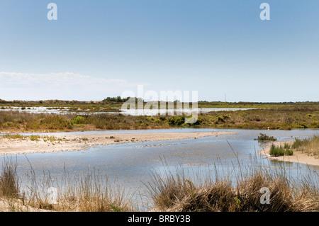 Parco faunistico Camargue, Francia Foto Stock