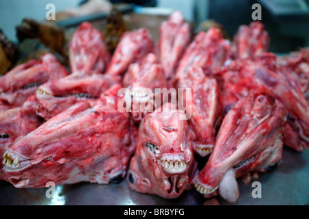 Halal macelleria, Dubai, Emirati arabi uniti Foto Stock