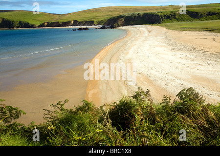 Spiaggia sabbiosa Burrafirth, Unst, isole Shetland, Scozia Foto Stock