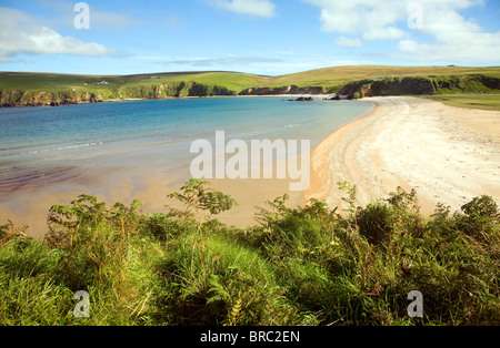 Spiaggia sabbiosa Burrafirth, Unst, isole Shetland, Scozia Foto Stock