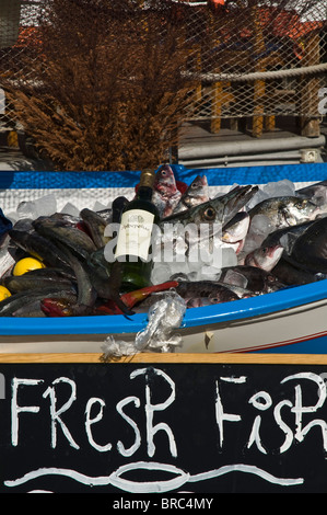 Dh PUERTO DEL CARMEN LANZAROTE pesce fresco Lanzarote ristoranti di pesce scheda display ristorante Foto Stock