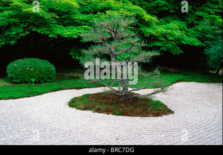 Rastrellata sabbia in giardino Tenjuan, tempio di Nanzenji, Kyoto in Giappone. Foto Stock