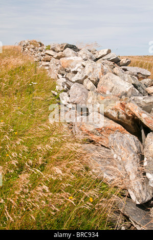 Storico di pareti in pietra, griglie Cove pareti di roccia National Historic Site, griglie Cove, Terranova, Canada; costruito 1700s-1900s Foto Stock