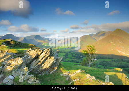 Mattinata estiva su Cat campane, guardando sopra la valle di Newlands e Derwent Fells Foto Stock