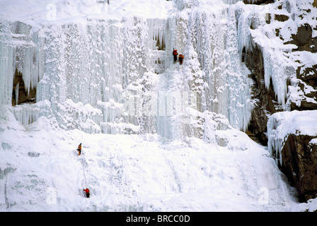 Il Parco Nazionale di Banff, Alberta, Canada - Arrampicata su ghiaccio sulla parete pianto lungo Icefields Parkway, Canadian Rockies, inverno Foto Stock