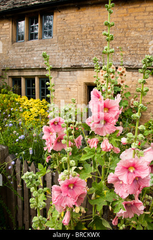 Cotswold cottage in pietra con Holly garretti nel giardino anteriore, Guiting Power, Gloucestershire, Regno Unito Foto Stock