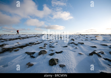 Solitarie Passeggiate inverno sul vertice di Helvellyn nel Parco Nazionale del Distretto dei Laghi, Inghilterra. Foto Stock