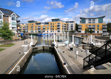 Nuovo alloggiamento waterside sviluppi a Brentford Docks , Londra Foto Stock