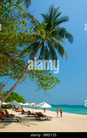 La spiaggia di Chaweng, Ko Samui, Tailandia Foto Stock