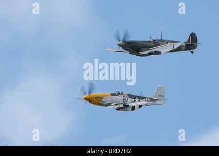 Un P51D Mustang e un Super marine Mk IXB Spitfire in stretta formazione Foto Stock