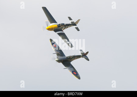 Un P51D Mustang e un Super marine Mk IXB Spitfire in stretta formazione Foto Stock