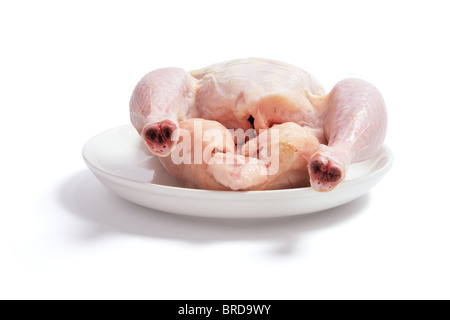 Il pollo crudo su piastra Foto Stock