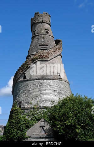 Il meraviglioso fienile Leixlip Kildare Irlanda follia troncoconica scala a sbalzo la visualizzazione galleria di architettura georgiana Foto Stock