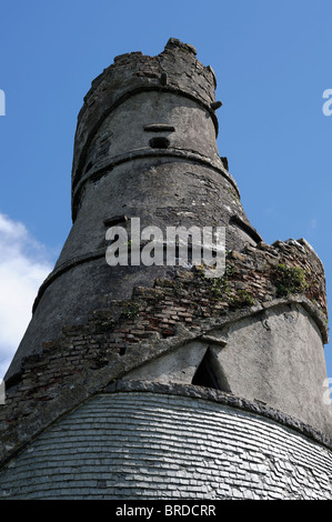 Il meraviglioso fienile Leixlip Kildare Irlanda follia troncoconica scala a sbalzo la visualizzazione galleria di architettura georgiana Foto Stock