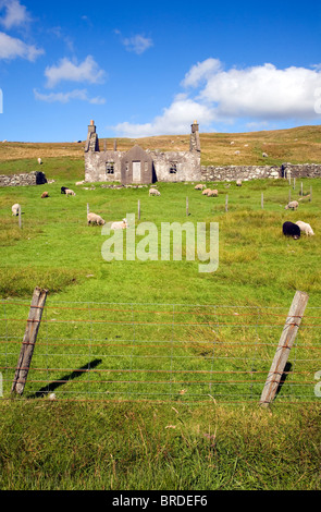 Abbandonate abbandonate croft house con il pascolo ovino, Dale di pareti, Continentale, le isole Shetland, Scozia Foto Stock