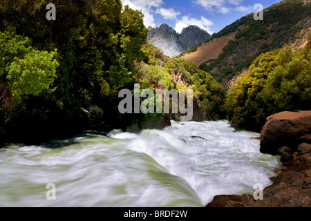 Hi il flusso di acqua nella molla sulla forcella del sud del Fiume dei Re. Kings Canyon National Park, California Foto Stock