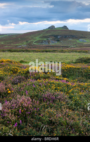 Haytor giù e Haytor Rocks. Parco Nazionale di Dartmoor. Foto Stock