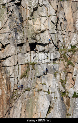 Gli alpinisti utilizzando corde Bosigran ascendente Cliff, Morvah, Cornwall Foto Stock