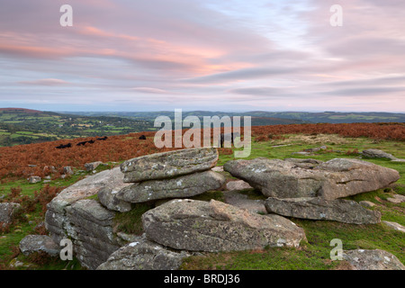 La luce del mattino su Black Hill guardando verso nord-est. Parco Nazionale di Dartmoor. Foto Stock