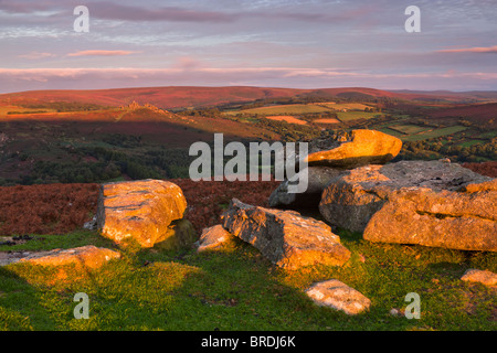 La luce del mattino su Black Hill cercando Trendlebere verso il basso. Parco Nazionale di Dartmoor. Foto Stock