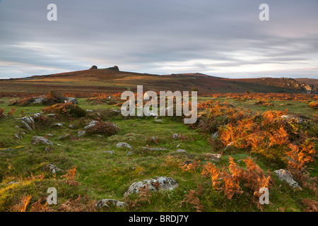 Cerchi rifugio guardando verso Haytor Downs e Haytor Rocks. Parco Nazionale di Dartmoor. Foto Stock