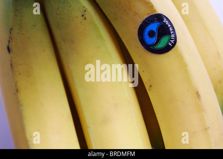 Fairtrade adesivo con Fairtrade logo su bloccato sul mazzetto di banane Fairtrade - simbolo del logo del commercio equo e solidale Foto Stock