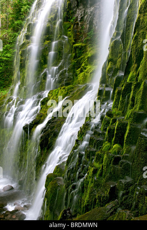 Dell'Oregon Proxy inferiore cade riversa coperte di muschio e basalto in tre sorelle deserto. Foto Stock