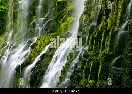 Dell'Oregon Proxy inferiore cade riversa coperte di muschio e basalto in tre sorelle deserto. Foto Stock