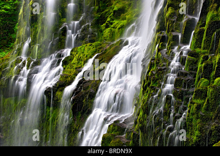 Dell'Oregon Proxy inferiore cade riversa coperte di muschio e basalto in tre sorelle deserto. Foto Stock