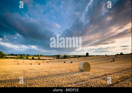 Bails fieno e stoppia in un campo al tramonto, Warwickshire, Inghilterra, Regno Unito Foto Stock