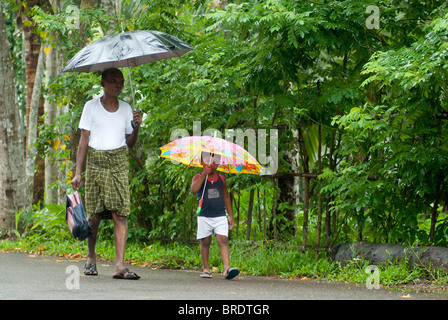 Un vecchio uomo è il suo modo per far cadere il suo nipote a scuola durante il monsone; giornata piovosa a Alappuzha; Alleppey, Kuttanad, Kerala. Foto Stock