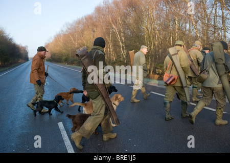 Parte di scatto attraversando la strada principale Foto Stock