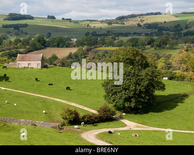 Paesaggio rurale circostante il Tissington Trail, DERBYSHIRE REGNO UNITO Inghilterra Foto Stock