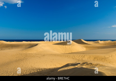 Dune di Maspalomas, Gran Canaria Isole Canarie Spagna Foto Stock