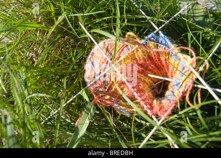 Clew tricolore con maglia e 5 aghi sulla verde erba brillante Foto Stock