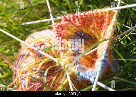 Clew tricolore con maglia e 5 aghi sulla verde erba brillante Foto Stock