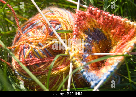 Clew tricolore con maglia e 5 aghi sulla verde erba brillante Foto Stock