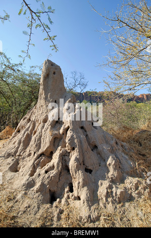 Termite hill nel Waterberg National Park, Namibia, Africa Foto Stock