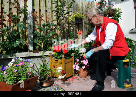 Signora nei suoi anni settanta facendo suo il giardinaggio Foto Stock