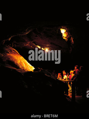 Grotte di Marble Arch, Co Fermanagh, Irlanda, Unesco Geoparks Foto Stock