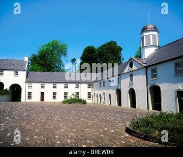 Castle Caldwell Forest Park, Co Fermanagh, Irlanda Foto Stock