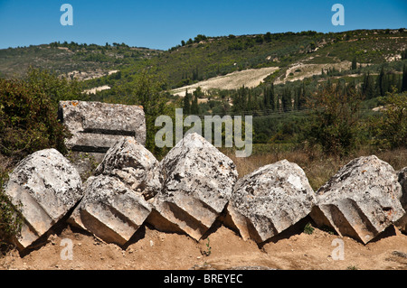 Colonna caduta tamburi, stabilire dove erano caduti e da una colonna del Tempio di Zeus a antica Nemea, Korinthia, Peloponneso, Grecia Foto Stock
