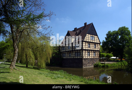 Il castello di Wittringen, Gladbeck, Renania settentrionale-Vestfalia, Germania, Europa Foto Stock