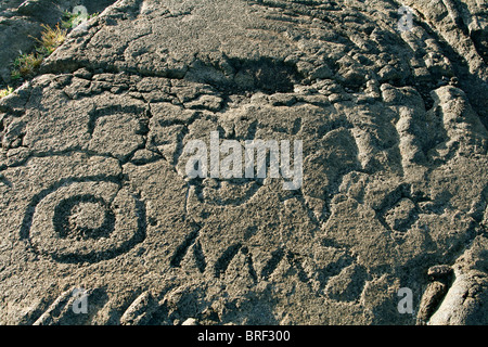 Petroglyph, Pu'u Loa Petroglyph Trail Foto Stock