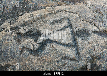 Petroglyph, Pu'u Loa Petroglyph Trail Foto Stock