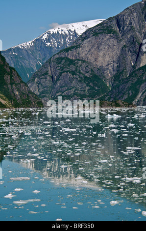 Flusso di ghiaccio dal ghiacciaio Sawyer Tracy Arm Fjord passaggio interno Alaska USA Foto Stock