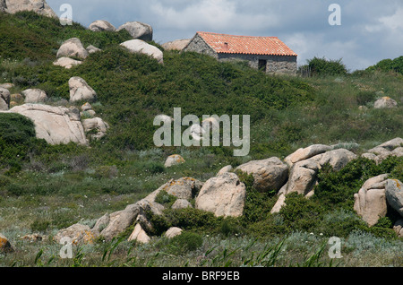 Isole Lavezzi, Corsica, Francia Foto Stock