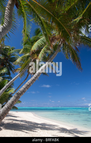 Tropical Beach Rarotonga nelle Isole Cook Foto Stock